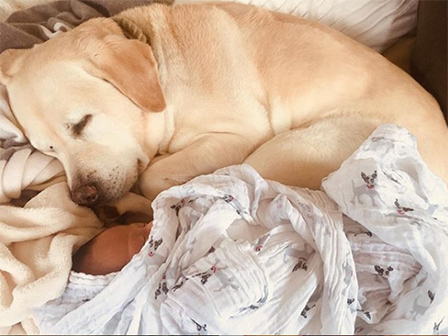 滝川クリステルが第1子男児出産をインスタ報告「元気で大きな男の子を出産しました」