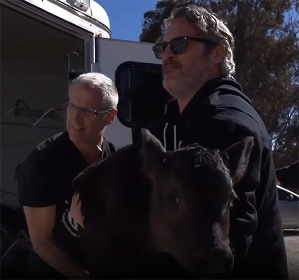 ホアキン・フェニックスが牛の母子を食肉処理・解体場から救う　アカデミー賞のスピーチを実践