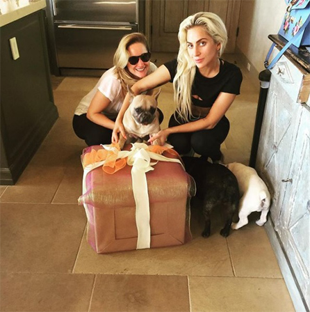 レディー・ガガ、愛犬強奪事件の報奨金をめぐる訴訟で勝訴　原告の2億円請求を棄却 