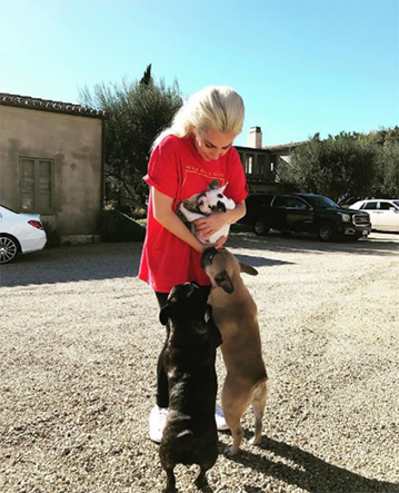 レディー・ガガの愛犬強盗事件で犯行グループ5人逮捕　発見して届けた「善意の女性」も一味だった
