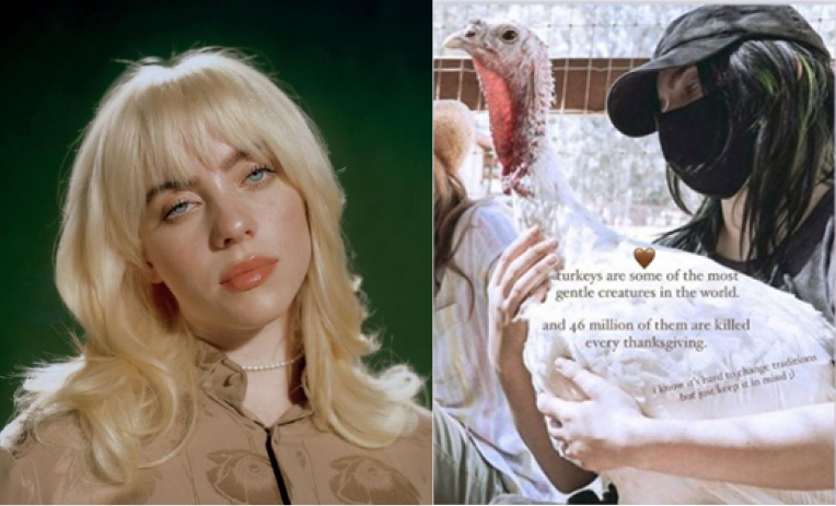 ビリー・アイリッシュ、感謝祭で七面鳥を食べるのを控えるよう訴える「毎年感謝祭で４６００万羽もの七面鳥が殺されている」 
