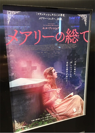 メアリーの総て