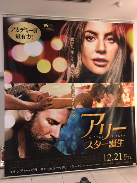 アリー・スター誕生