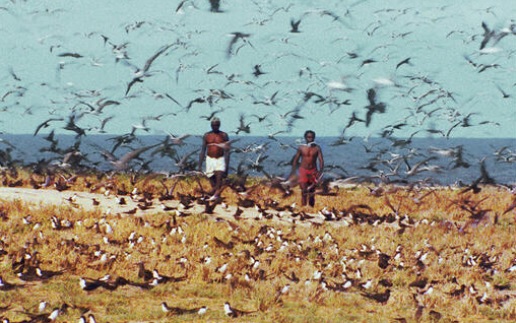 アラキンのムービーキャッチャー/「未体験ゾーンの映画たち 2021」と「あの子は貴族」のとっておき情報