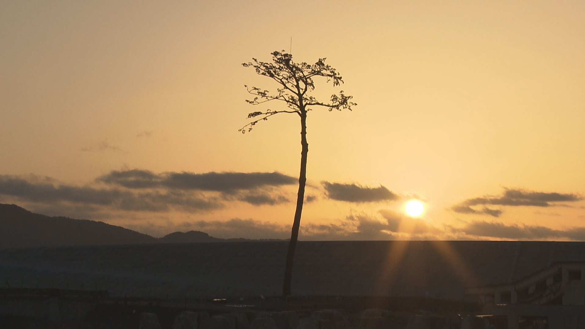 アラキンのムービーキャッチャー／東日本大震災関連の映画のとっておき情報
