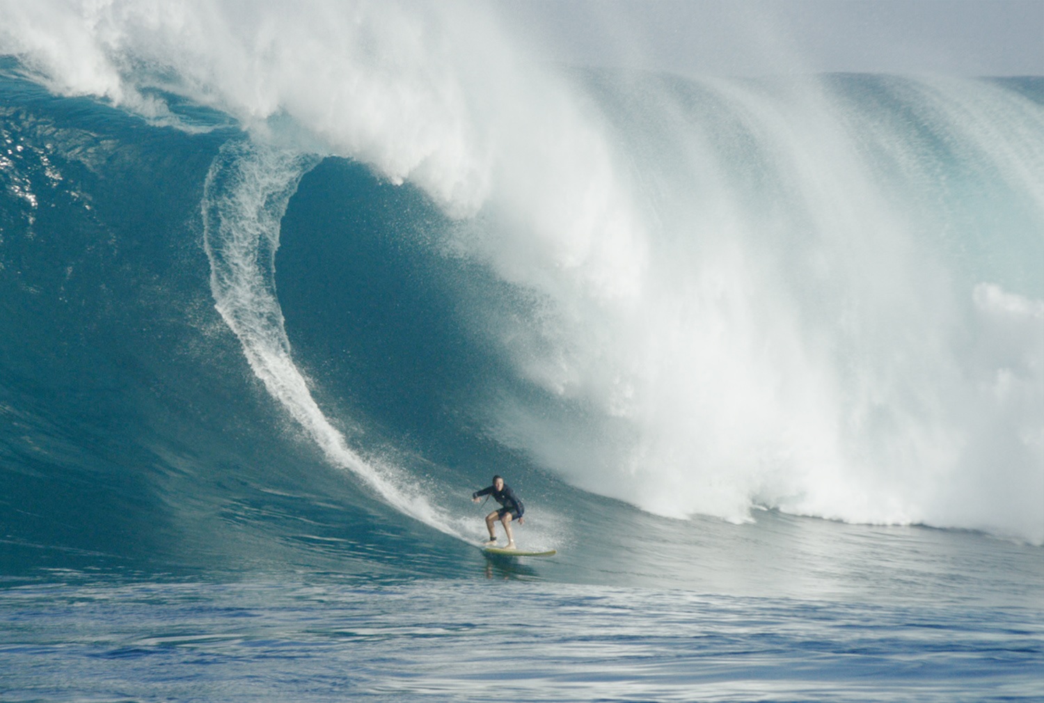 「シー・イズ・オーシャン」9人の女性の”海への深い愛“とスーパーキャリア
