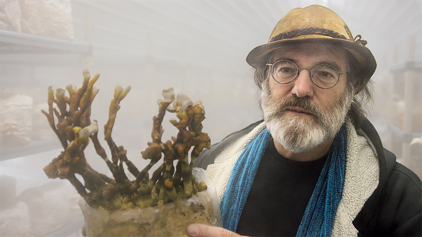 アラキンのムービーキャッチャー NEO／「素晴らしき、きのこの世界」「カナルタ 螺旋状の夢」「RAMEN FEVER」のとっておき情報
