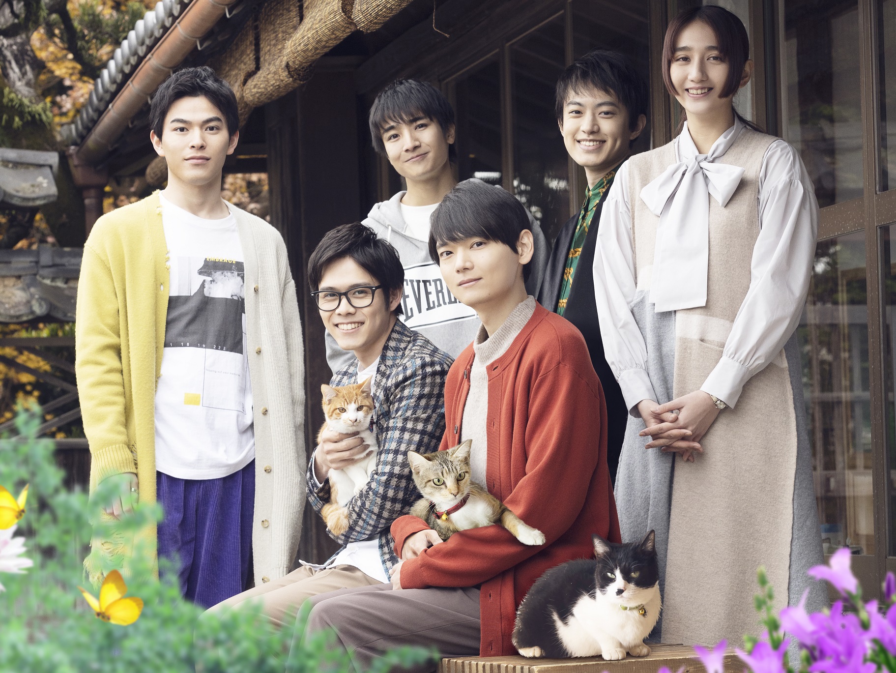 「劇場版　ねこ物件」猫付きシェアハウスを舞台にした猫愛と新しい家族のドラマ 
