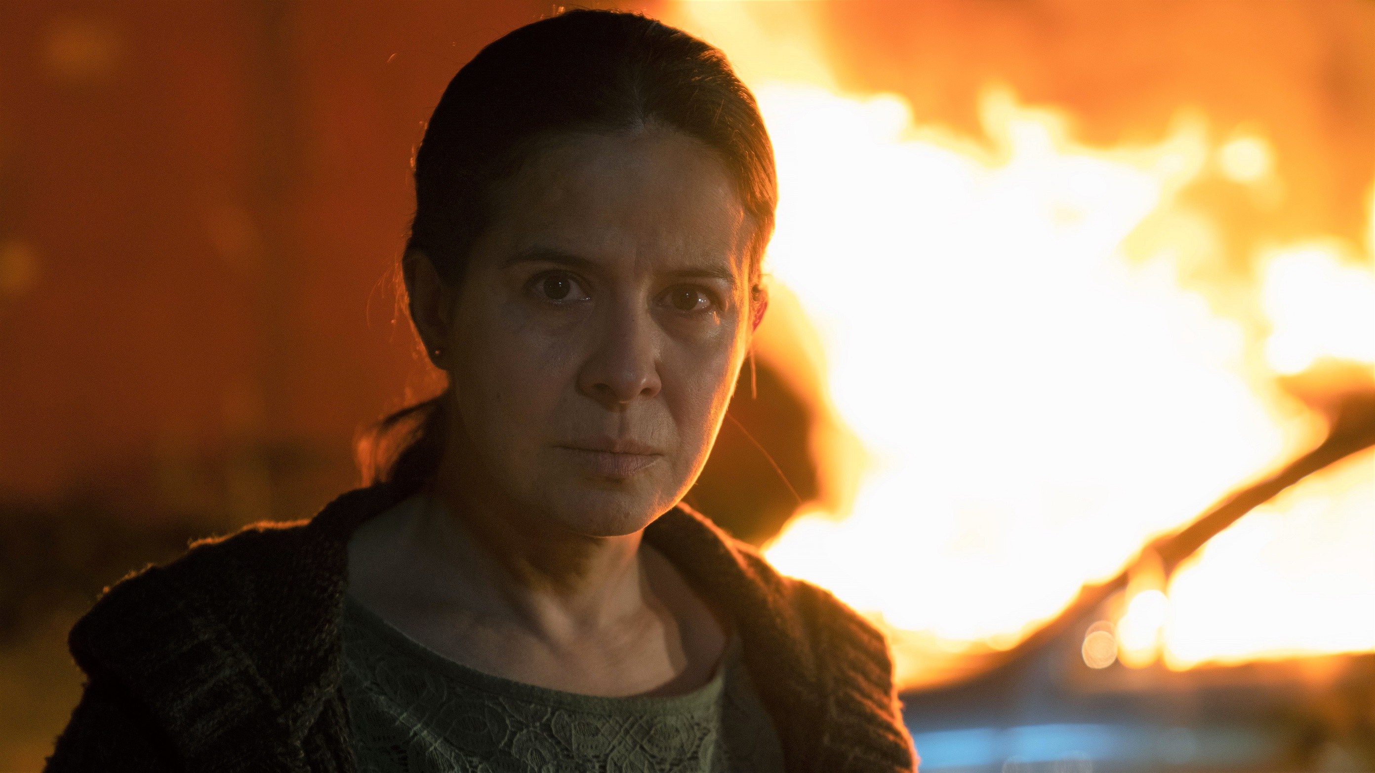 「母の聖戦」娘を誘拐された母親の壮絶な奪還の戦いを描いたクライム・スリラー
