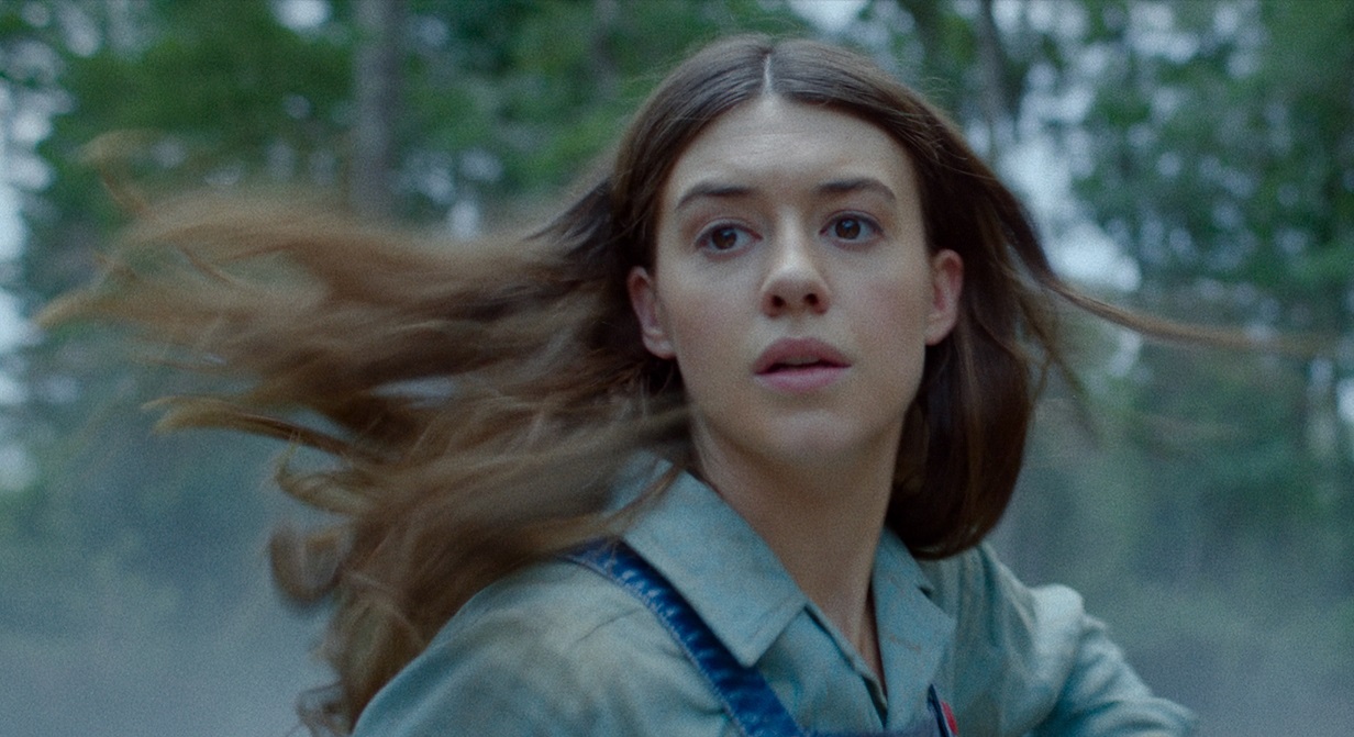 「ザリガニの鳴くところ」湿地帯で暮らす孤独な少女の驚異のサバイバル・サスペンス
