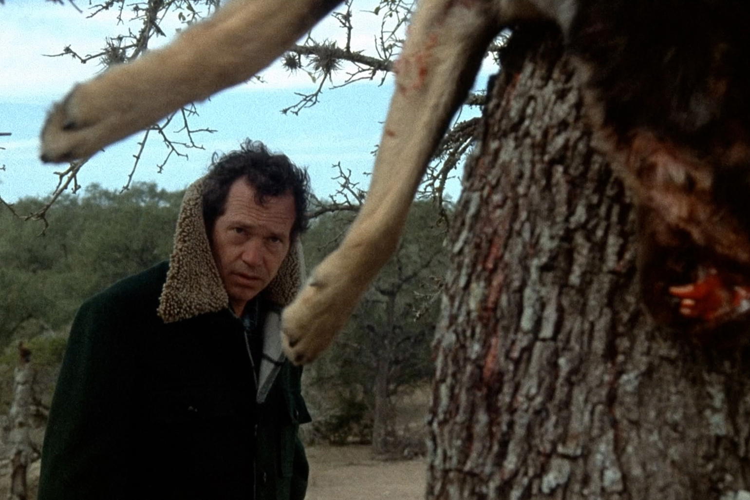 ピーター・フォンダ×ウォーレン・オーツ　ホラー映画「悪魔の追跡」リバイバル公開