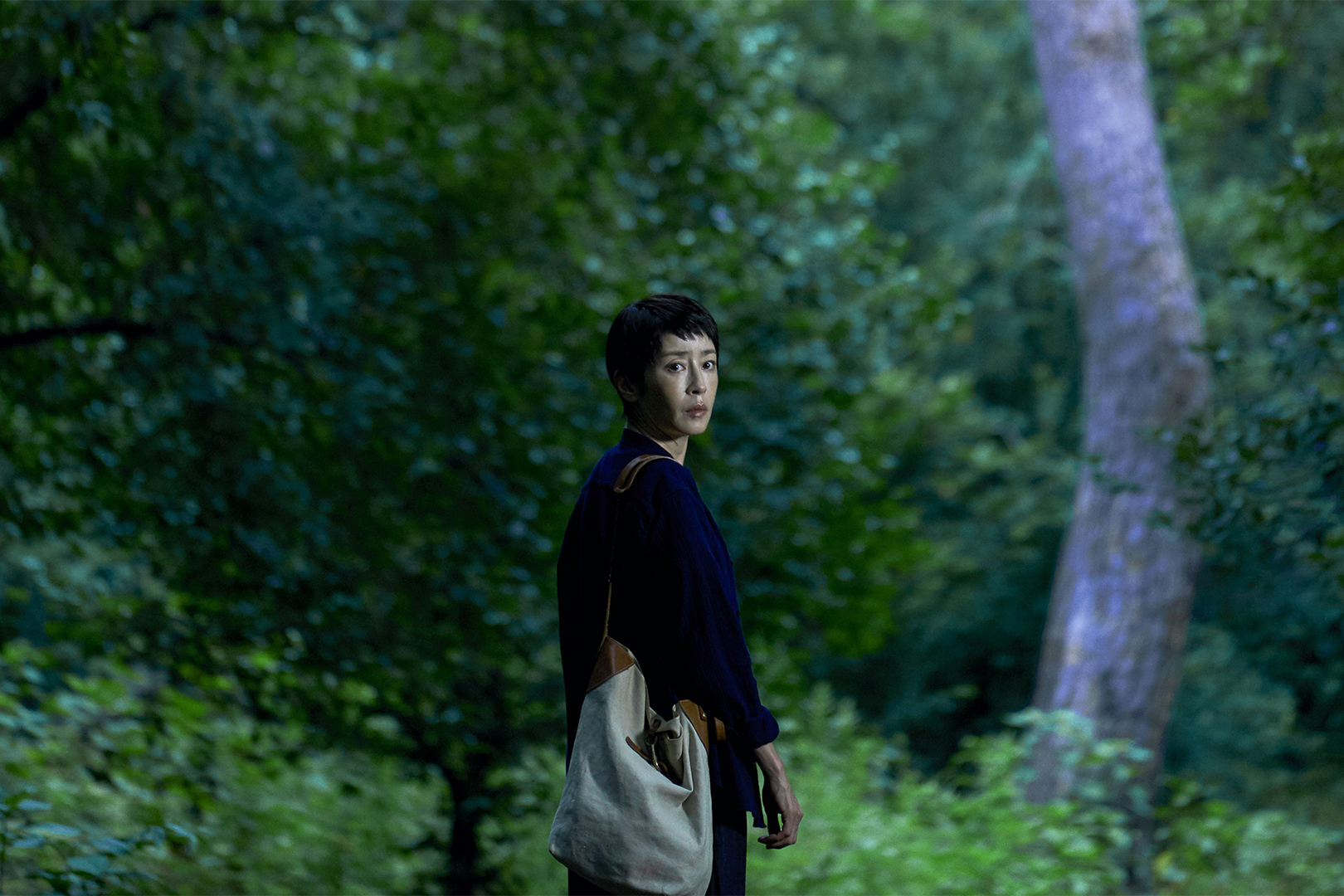 アラキンのムービー・ワンダーランド／第48回報知映画賞のとっておき情報