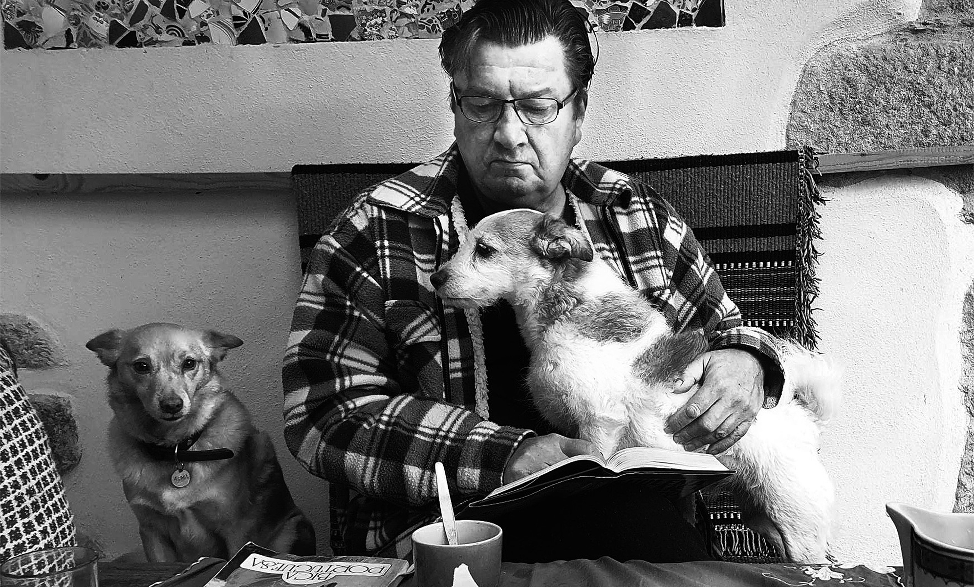 フィンランドのアキ・カウリスマキ監督5年ぶり新作「枯れ葉」12月公開
