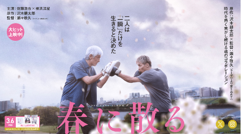 第48回報知映画賞のとっておき情報