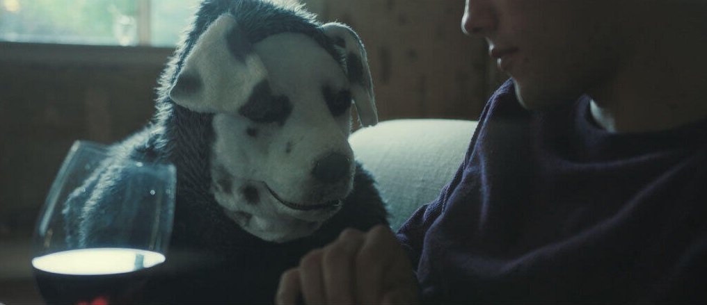 アラキンのムービー・ワンダーランド／2024年公開の日本映画話題作のとっておき情報（後編）