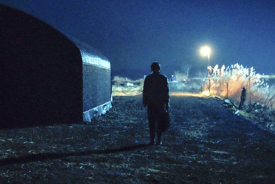 映画「ビニールハウス」ビニールハウスで暮らす中年女性の予測不能な壮絶生き様”
