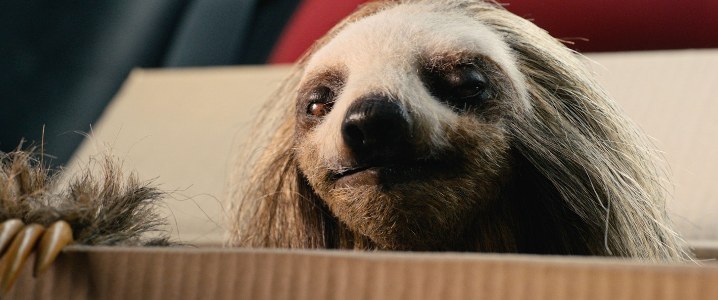 「キラー・ナマケモノ」特別映像＆マシュー・グッドヒュー監督インタビュー公開