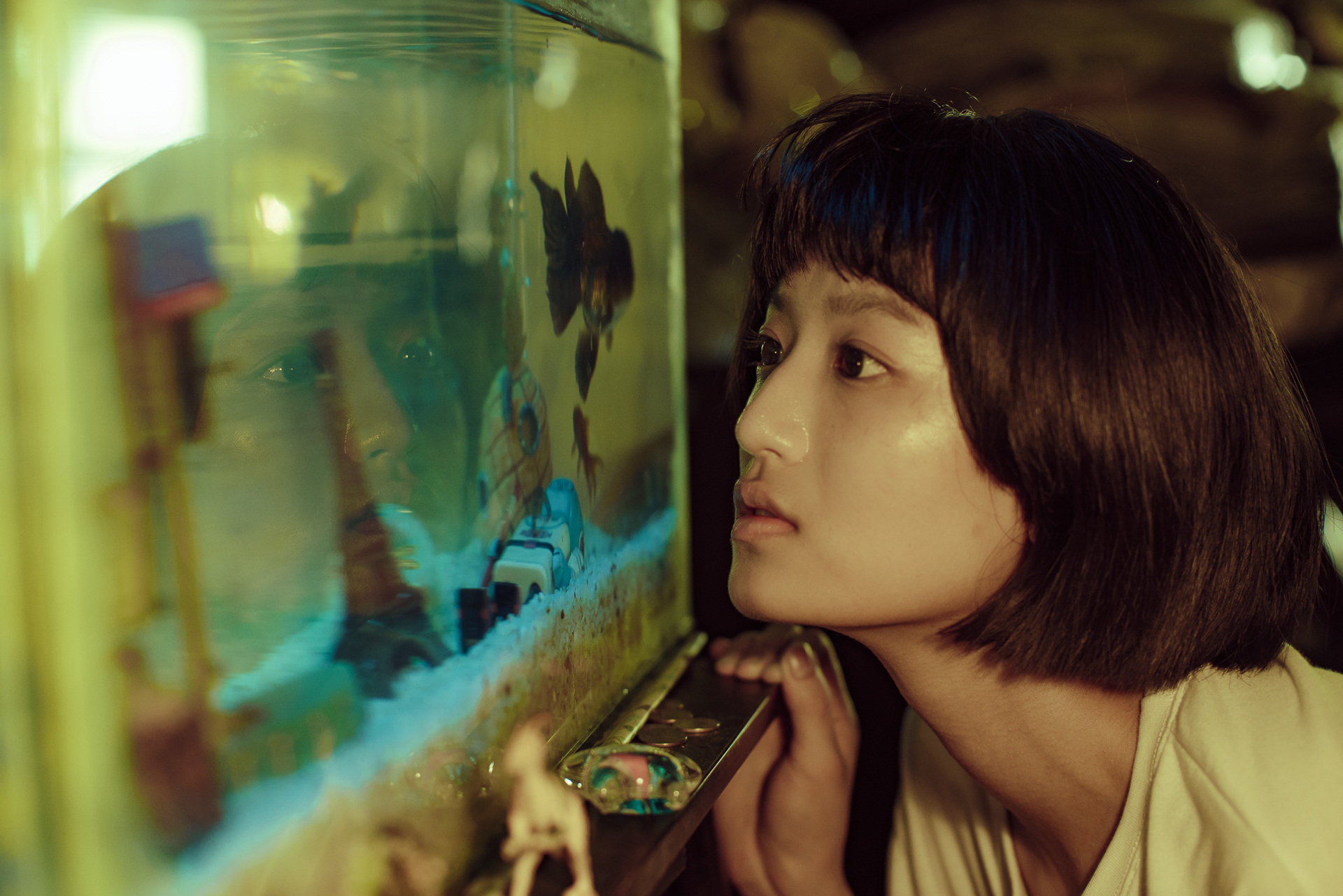 「台湾文化センター 台湾映画上映会 2024」 メインビジュアル＆コメント解禁