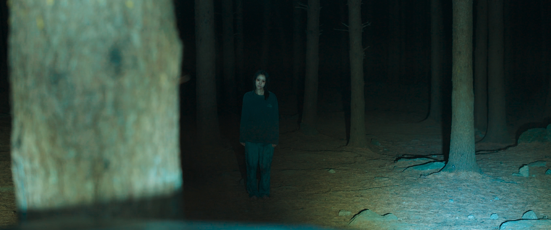 アラキンのムービーワンダーランド／「雉岳山（チアクサン）」「サユリ」などのとっておき情報