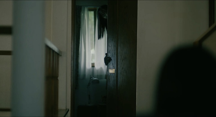 アラキンのムービーワンダーランド／アラキンのムービーワンダーランド／「雉岳山(チアクサン)」「サユリ」などのとっておき情報
