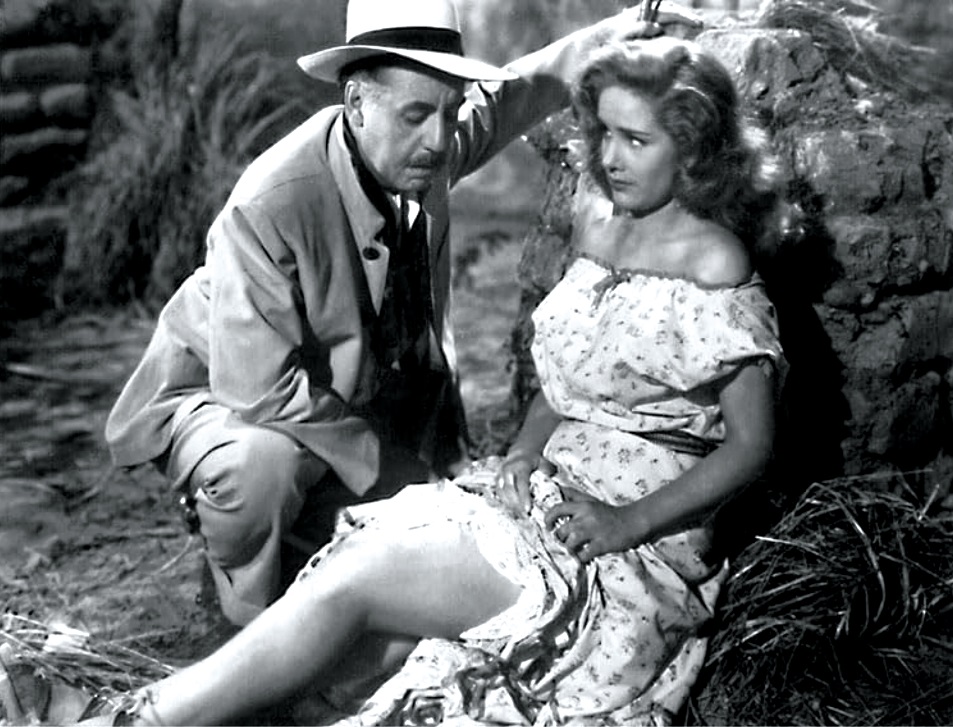 「奇想天外映画祭2024」 （9月14日~10月4日）開催決定　カルト・ヴァイオレンスの傑作「ワイルド・ボーイ」など
