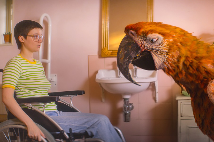  Ａ24製作「終わりの鳥」4月4日公開　日本版ポスターと予告編解禁