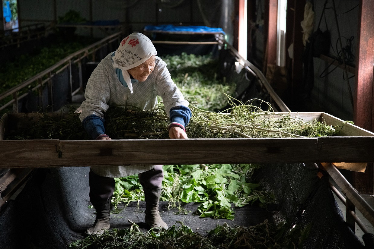 ドキュメンタリー映画「炎はつなぐ」 知られざる職人の技を求めて、写真家・大西暢夫が全国を駆け巡った旅の記録 7月19日公開決定