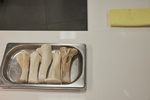 ドキュメンタリ-映画「ムガリッツ」 ”異端の名店”の異次元の独創的料理の舞台裏