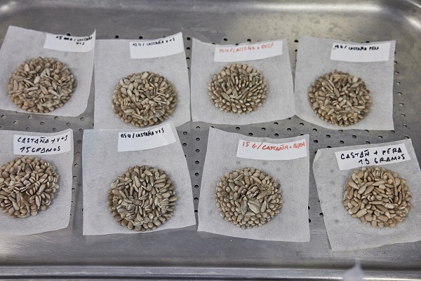 ドキュメンタリ-映画「ムガリッツ」 ”異端の名店”の異次元の独創的料理の舞台裏