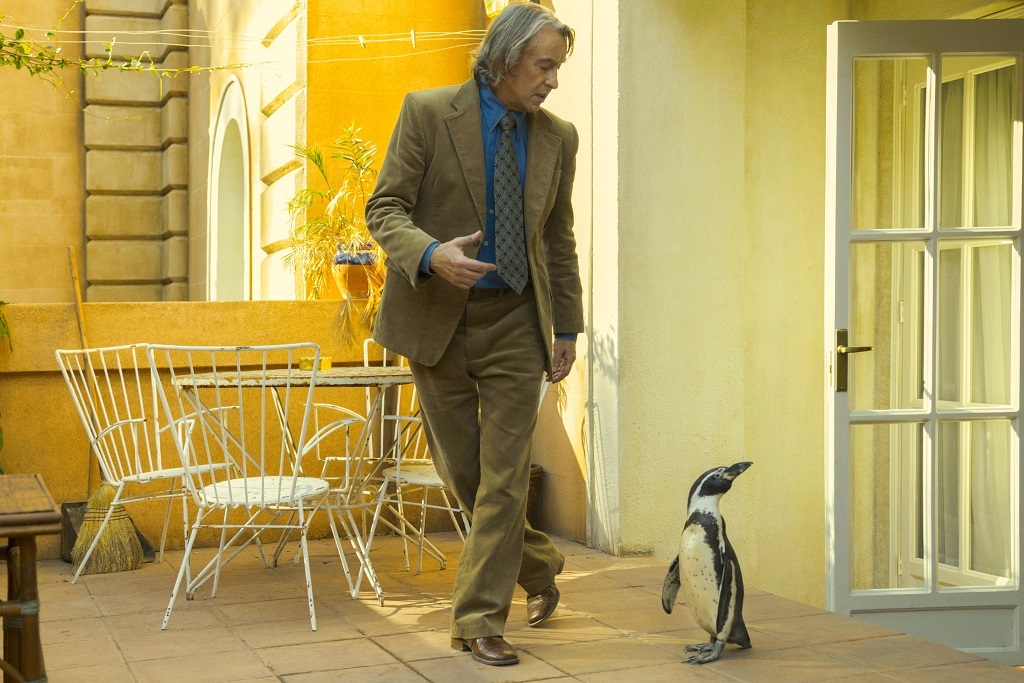 映画「ペンギン・レッスン」笑顔を誘い心を癒すペンギンの本編映像解禁