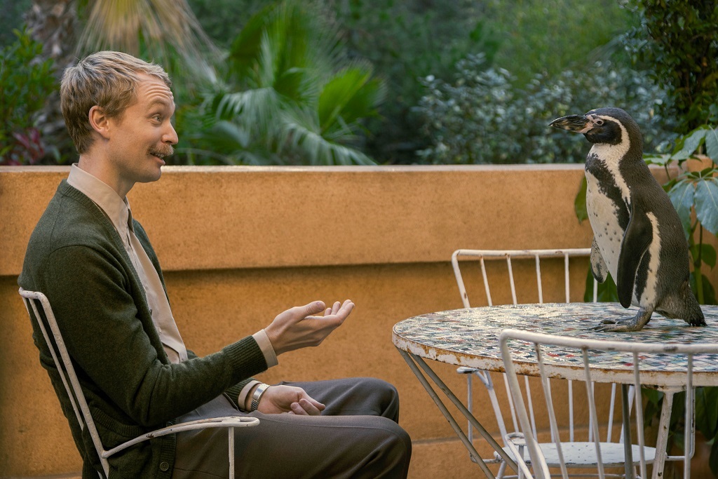 映画「ペンギン・レッスン」笑顔を誘い心を癒すペンギンの本編映像解禁