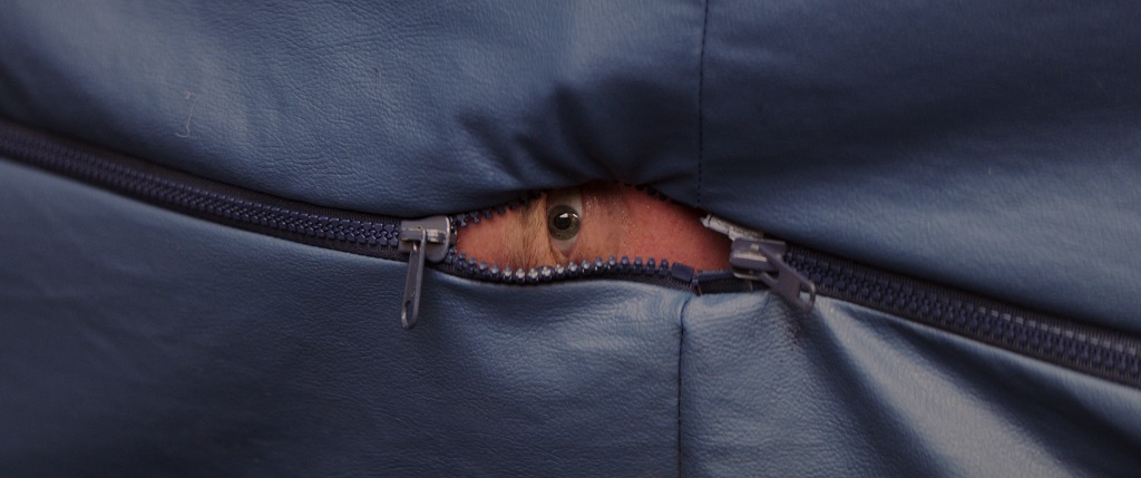 アラキンのムビーワンダーランド/「未体験ゾーンの映画たち2026」「チャック・ベリー ブラウン・アイド・ハンサム・マン」のとっておき情報