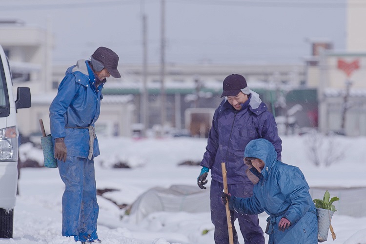 片山監督最新作「時のおと」　福井県の5つの街で1 年かけ四季を巡りながら撮影