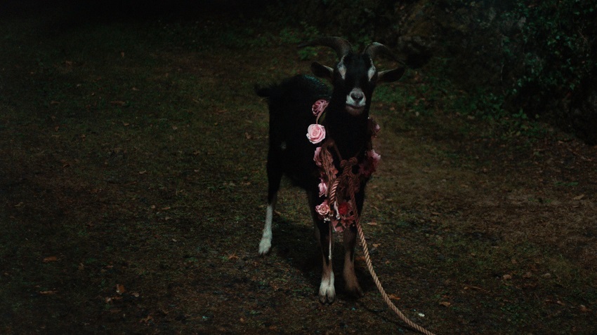 「FRÉWAKA／フレワカ」アイルランドの地に巣食う現実と虚構が入り混じる禁断のルーツホラー