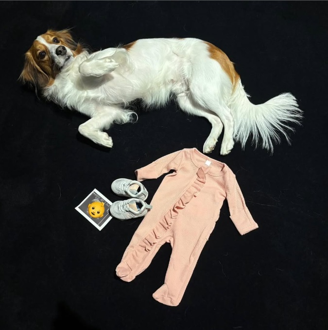 大谷翔平、真美子夫人第1子妊娠をインスタで報告「家族に小さなルーキーが…」
